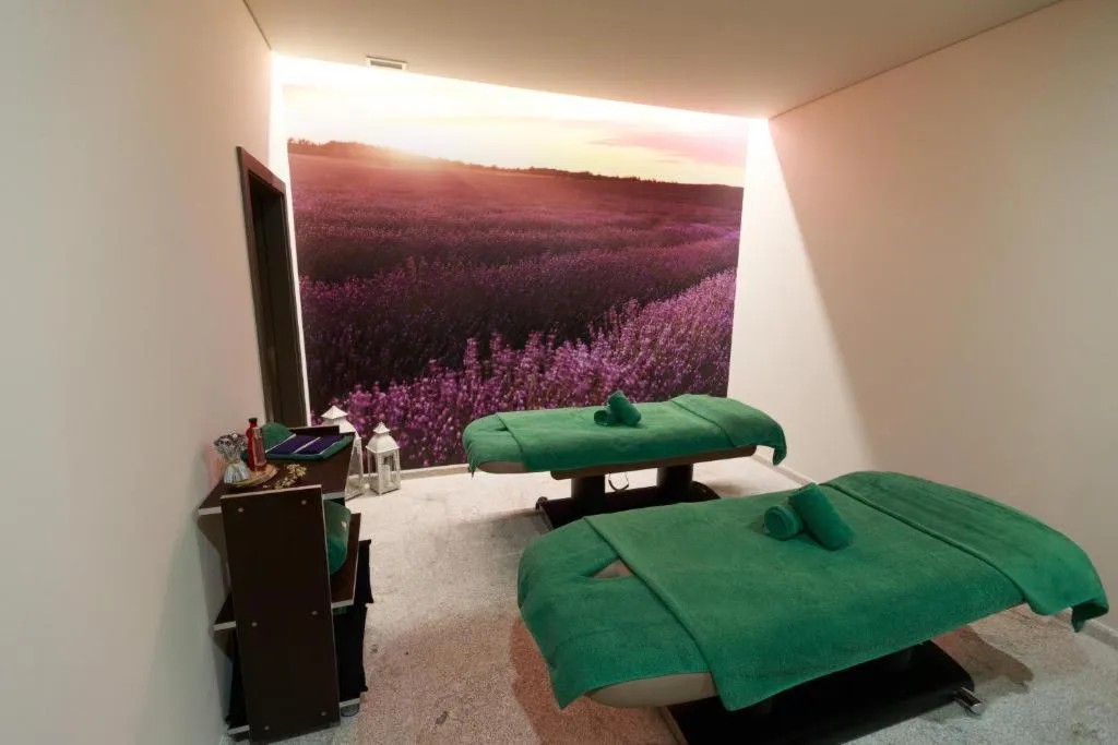 Sports and Entertainment, Olive Nature Hotel & SPA - Quinta Valle de Passos, Porto