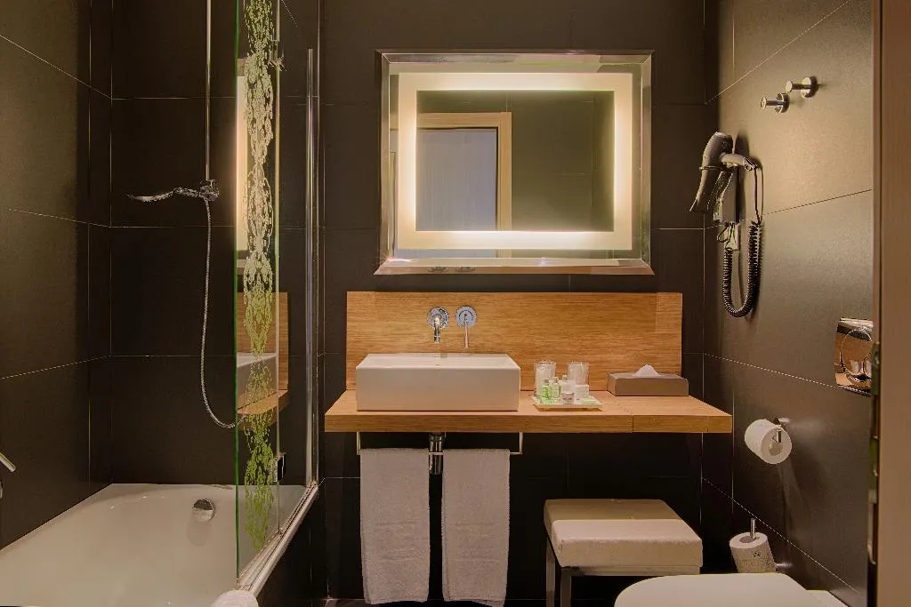 DOUBLE SINGLE USE STANDARD Room, NH Palermo, Palermo