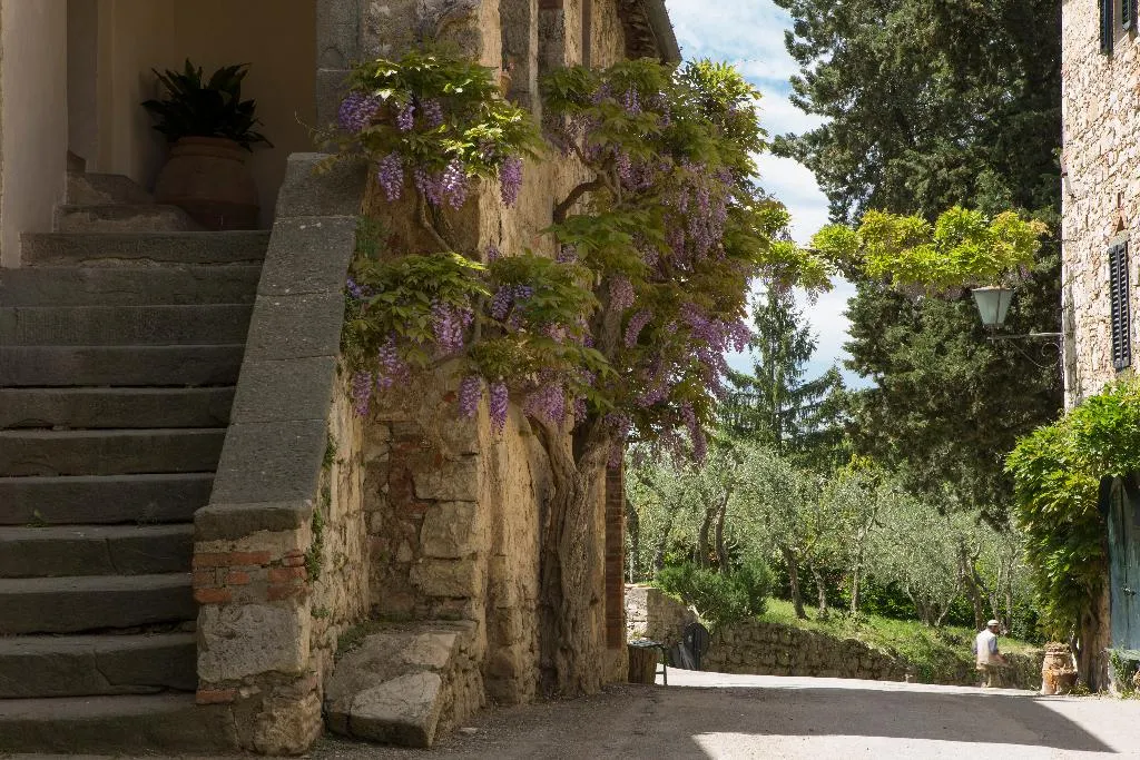 General view, Castello di Fonterutoli, Florence
