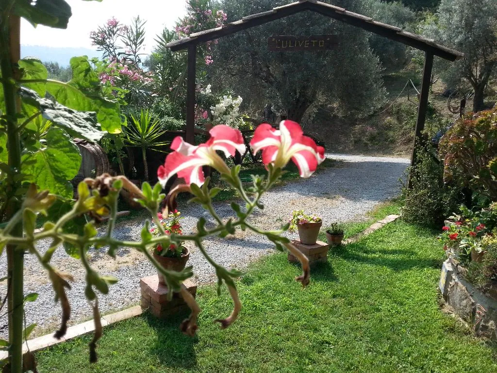 Lobby, Agriturismo L'Uliveto, Palermo
