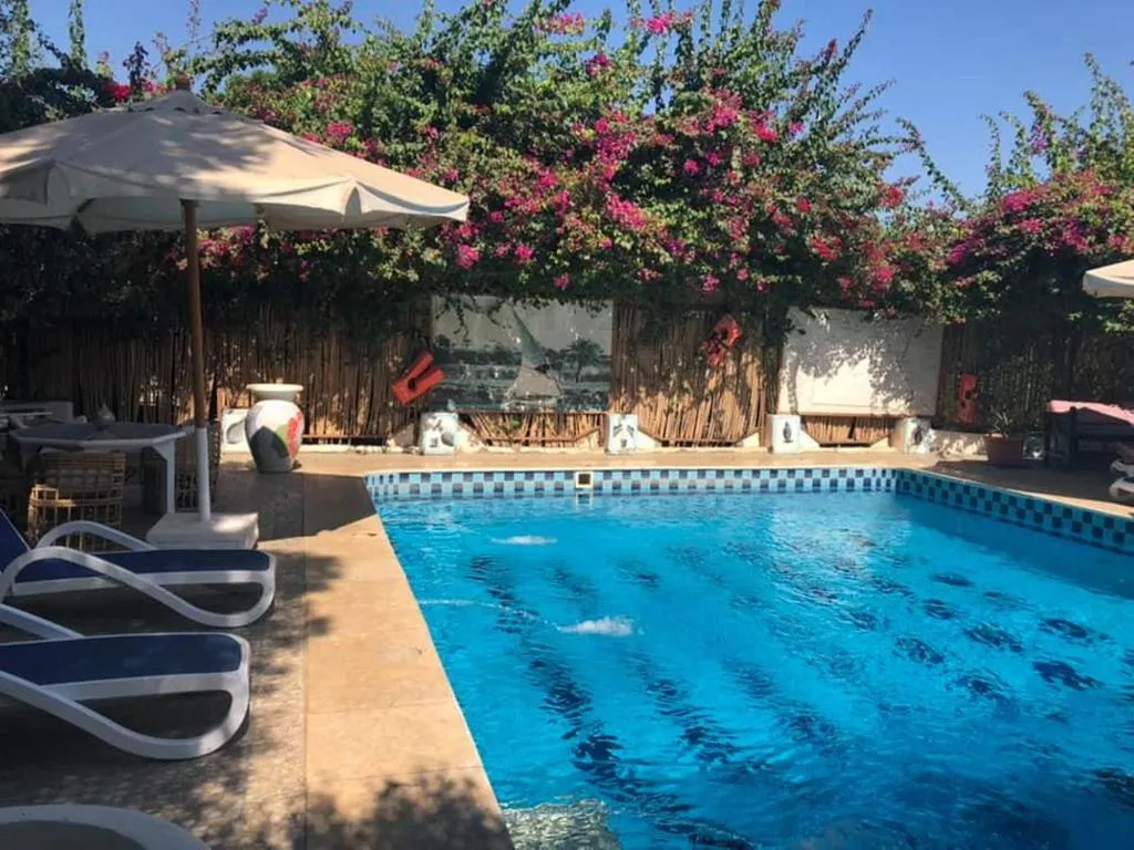 Sports and Entertainment, Nile Compound Hotel, Luxor