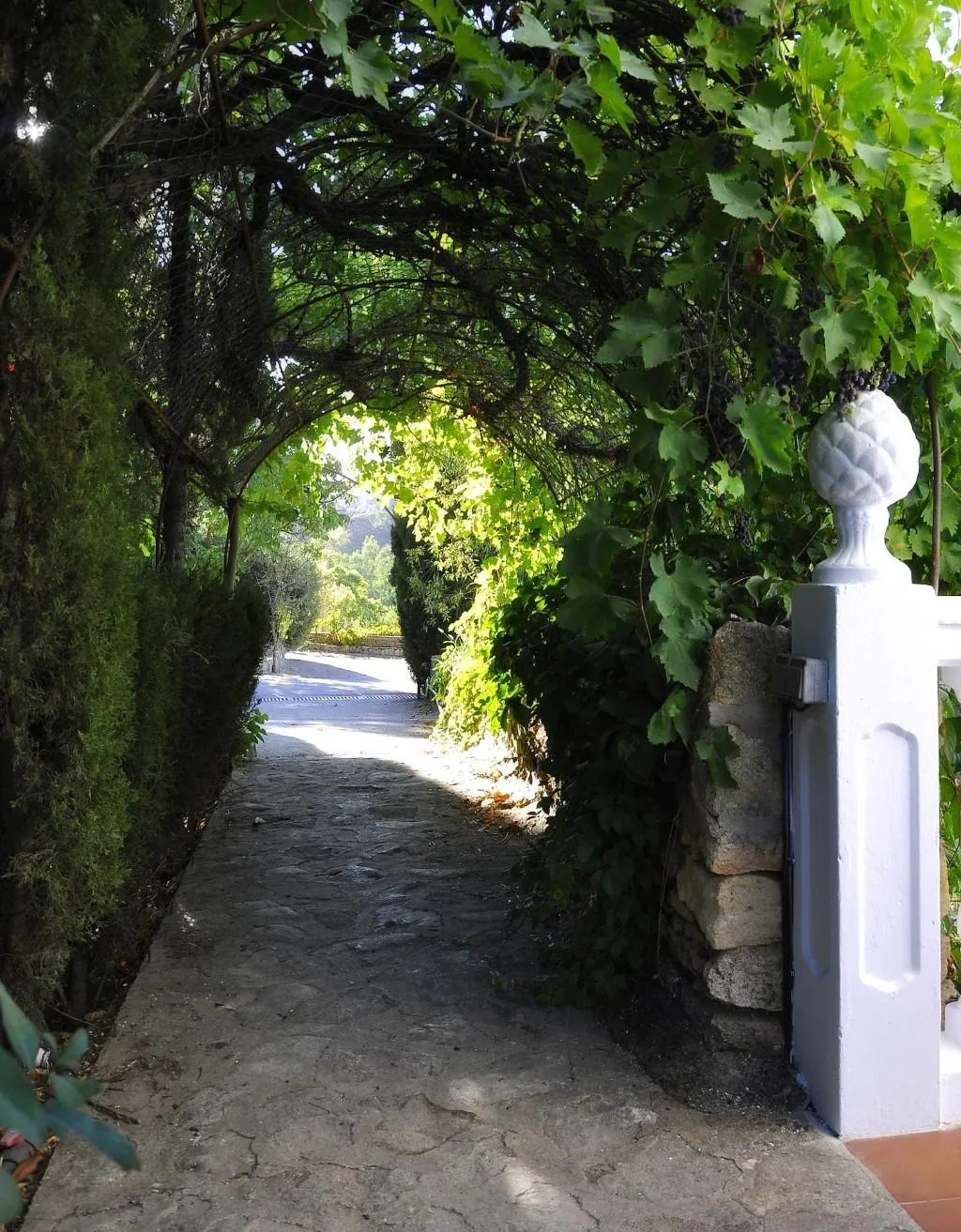 General view, Villa Ignacia B&B, Costa Del Sol