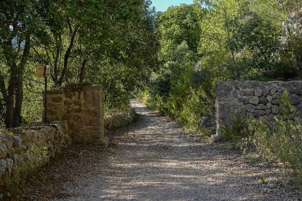 Sports and Entertainment, Hotel Rural S'Olivaret, Majorca