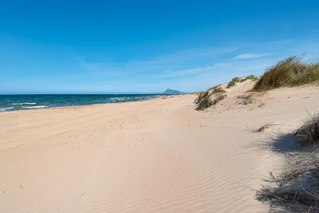 Beach, Oliva Nova Beach & Golf Hotel, Fuerteventura