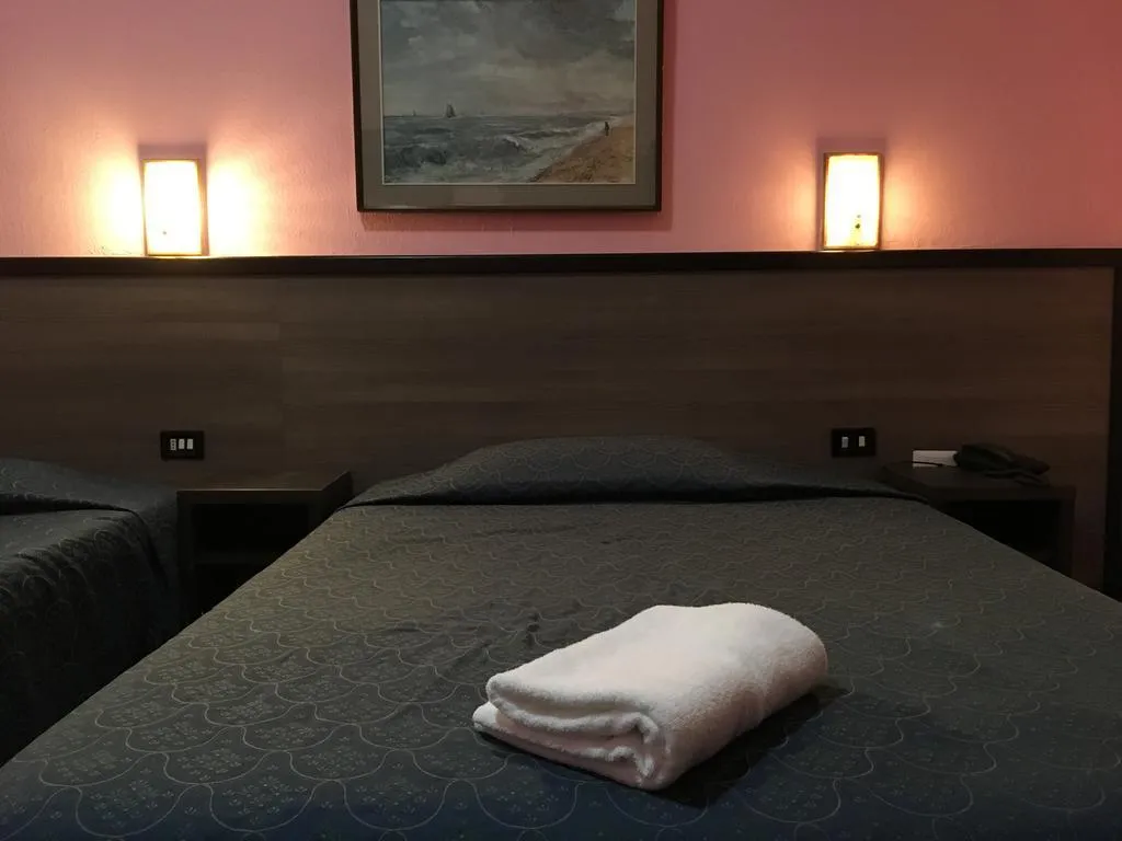 General view, Hotel New Salus, Milan