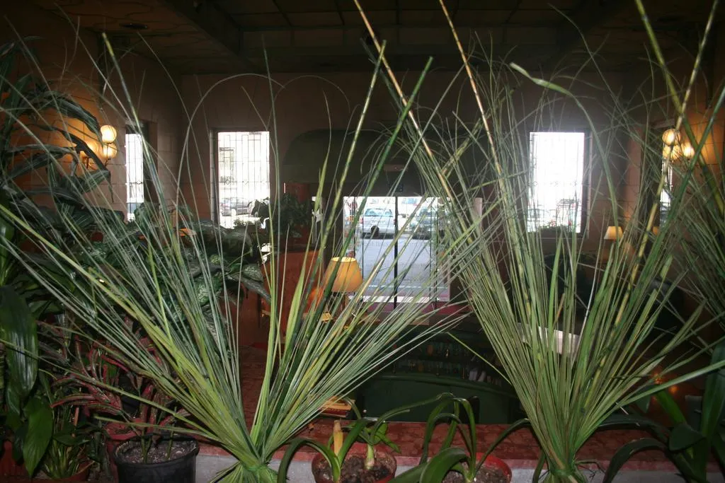 Lobby, Albert Hotel, Milan