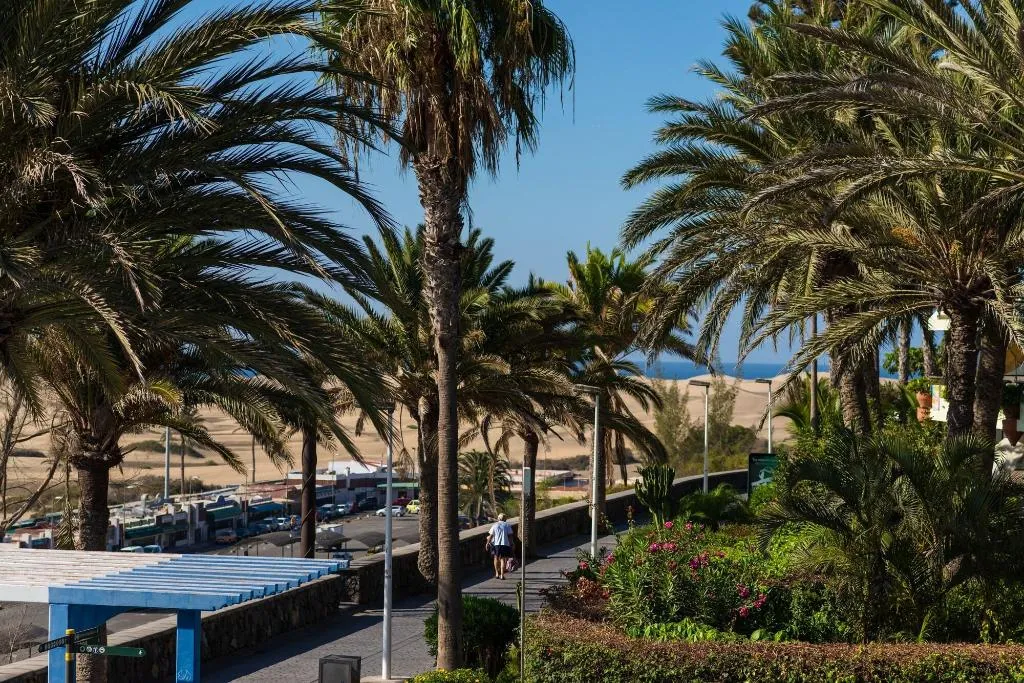 General view, El Paseo, Gran Canaria