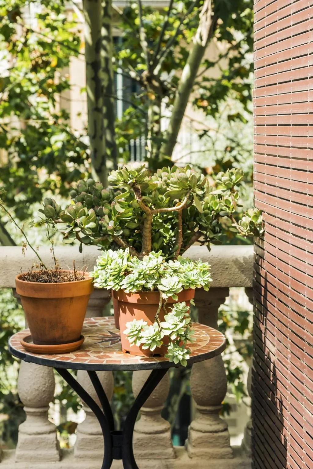 Room, La Casa Gran B&B, Barcelona