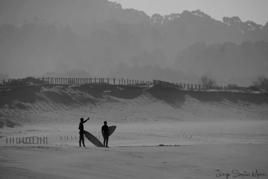Sports and Entertainment, Meira, Porto