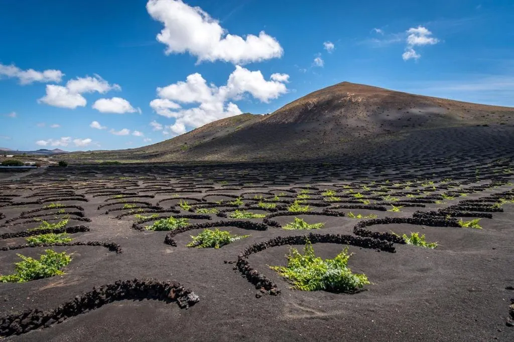 General view, Maribel, Lanzarote