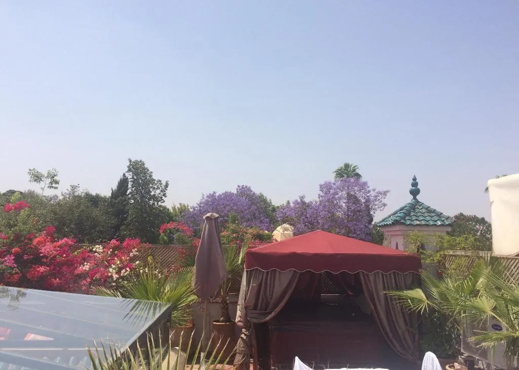 General view, Riad Reves D Orient, Marrakech