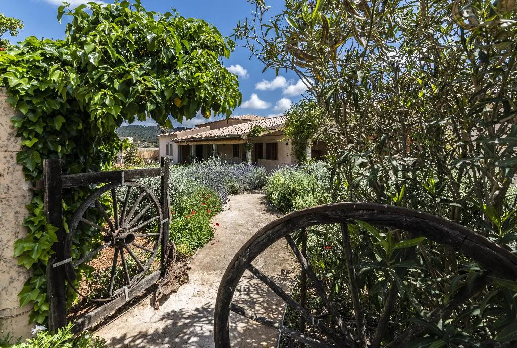 General view, Aumallia Hotel & Spa, Majorca