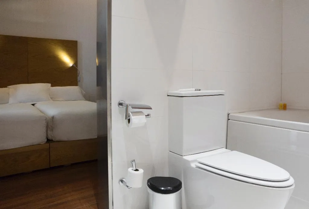 DOUBLE SINGLE USE STANDARD Room, Petit Palace Plaza Malaga, Costa Del Sol