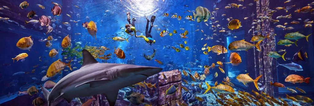 Sports and Entertainment, Atlantis The Palm, Dubai