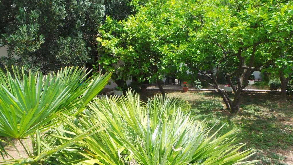 General view, Pension Vice, Split