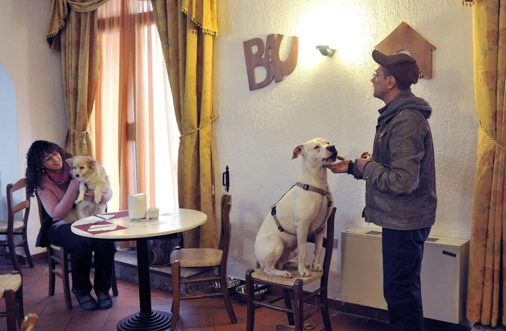 Room, Hotel San Marco, Umbria
