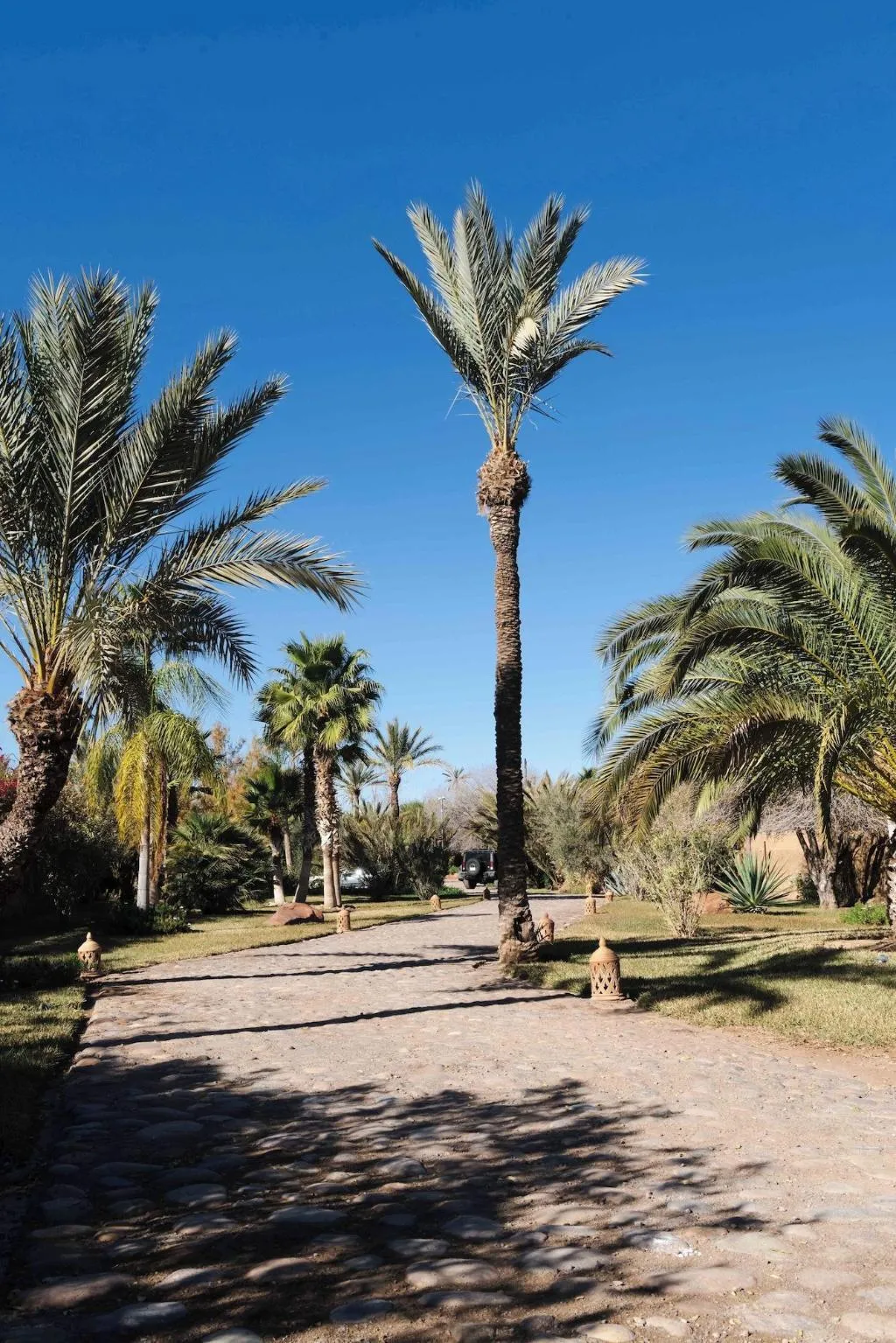 General view, Eden Lodges, Marrakech