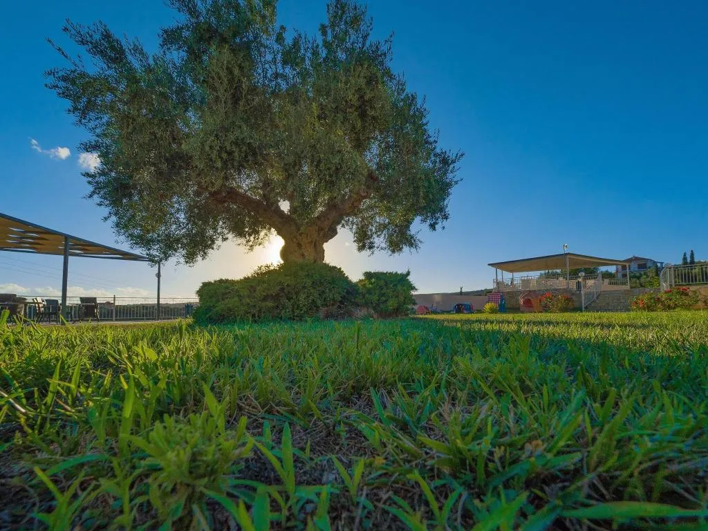Terrace, Panorama Resort, Kalamata