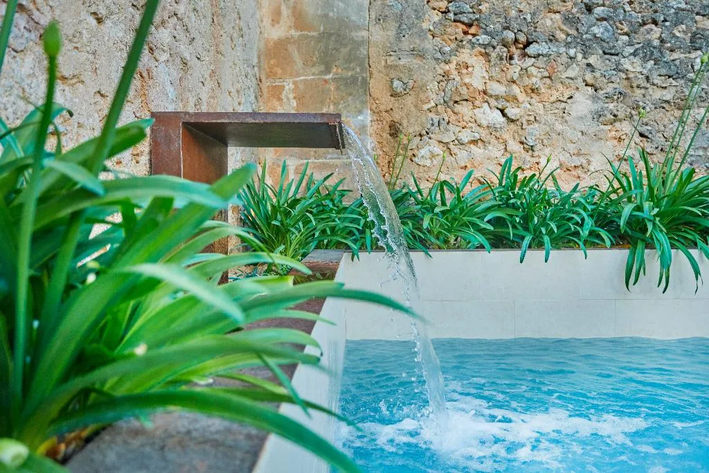 Pool, Sa Creu Nova Petit Palais Art & Spa, Majorca