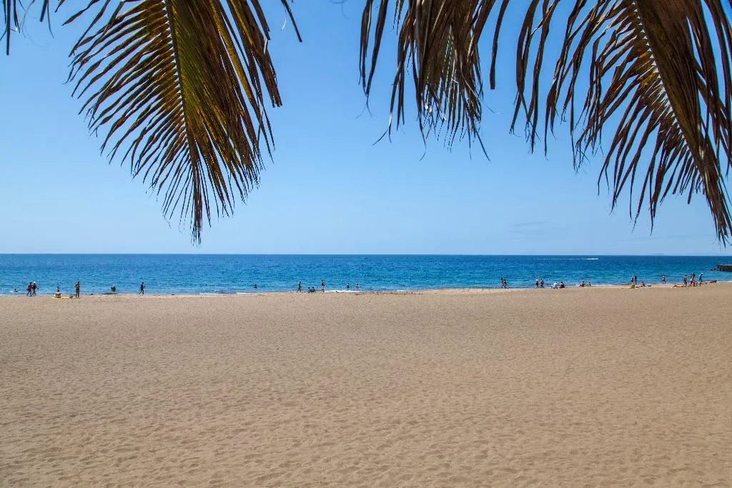 Beach, Plus Fariones Suite Hotel, Lanzarote