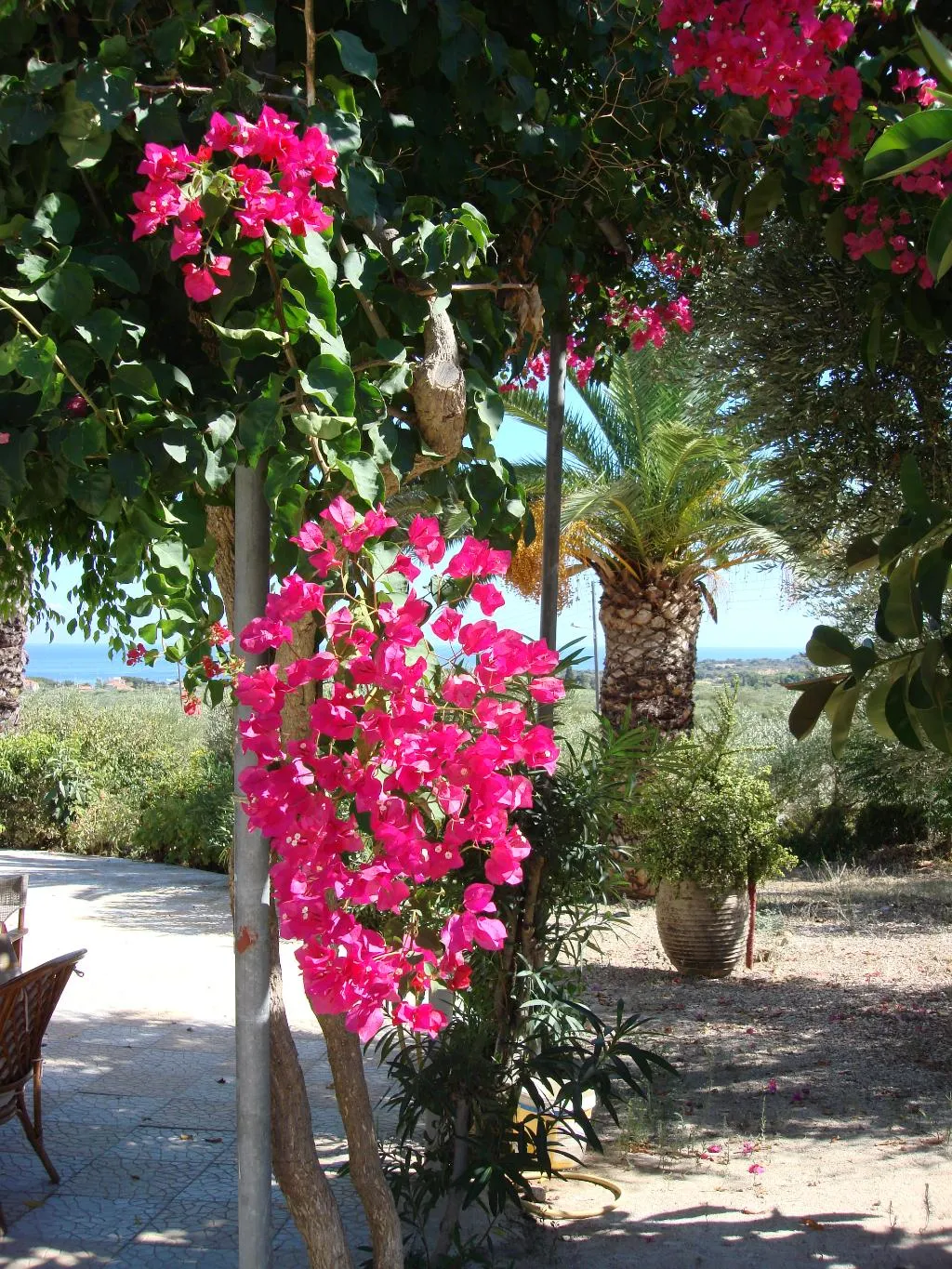 General view, Villa Kapnisi, Zante