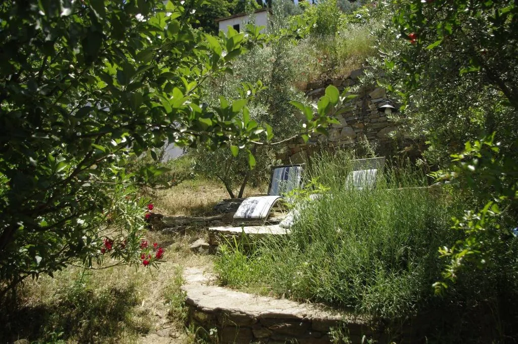 General view, Terrace Houses Sirince - Fig, Olive and Grapevine, Izmir
