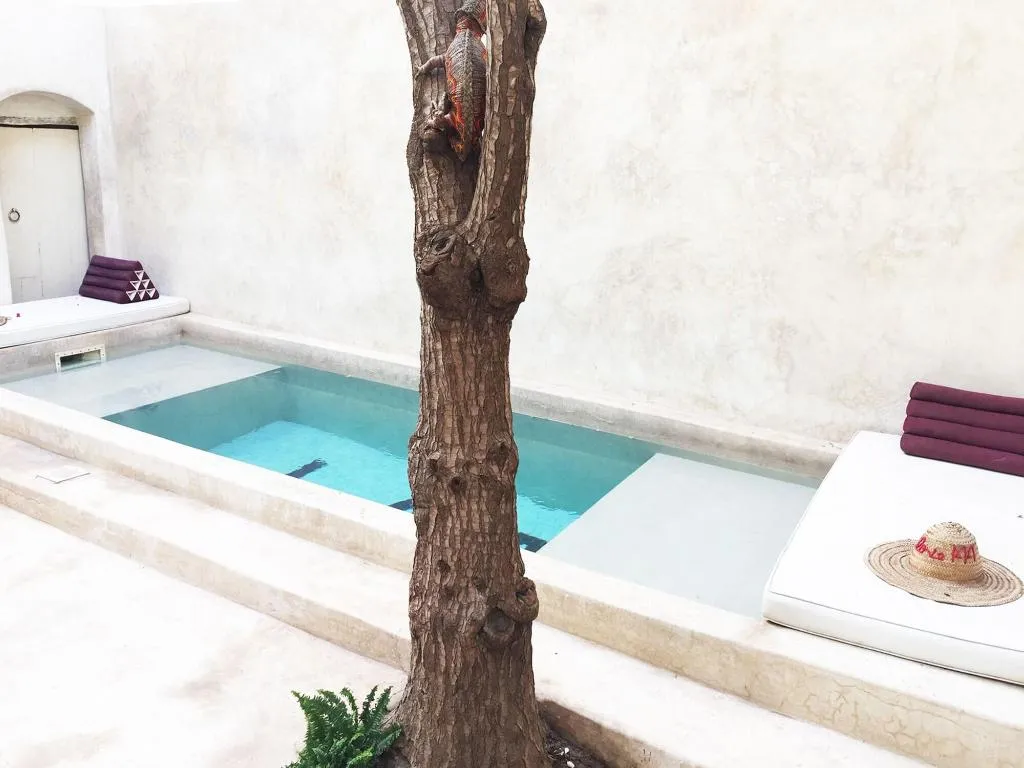 Sports and Entertainment, Riad 144, Marrakech