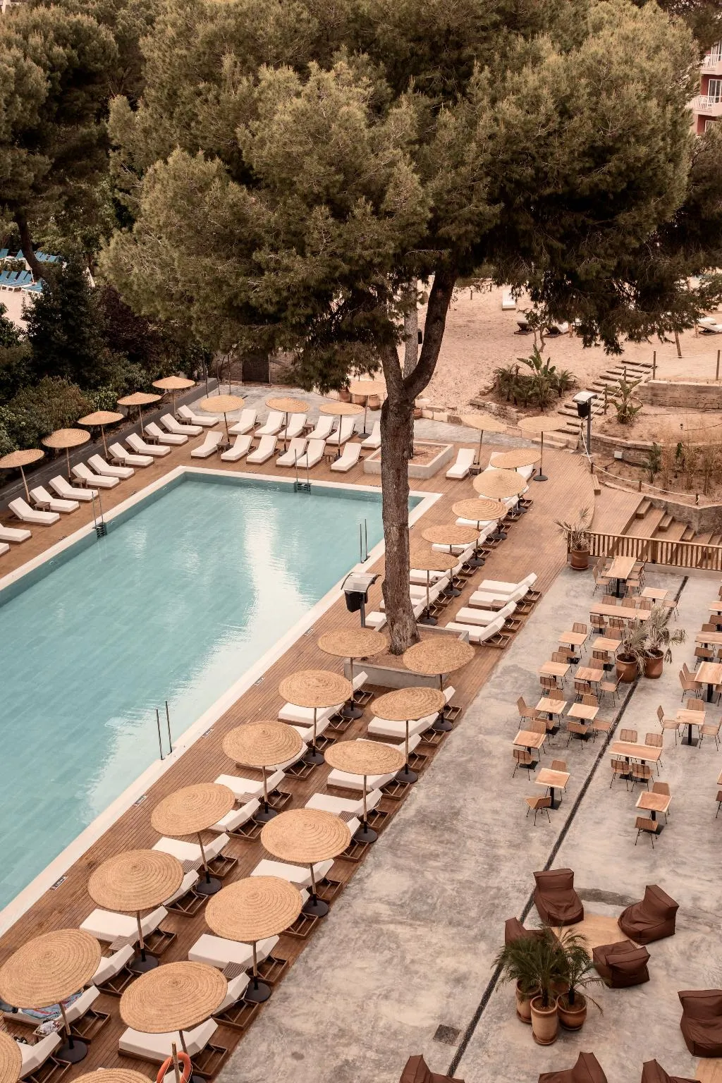 Pool, Caramelo Palma Beach +18, Majorca