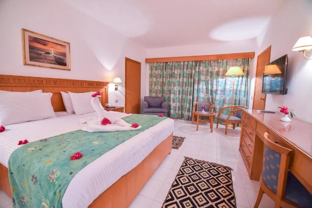 Room, MG Alexander The Great Hotel Marsa Alam, Red Sea Riviera