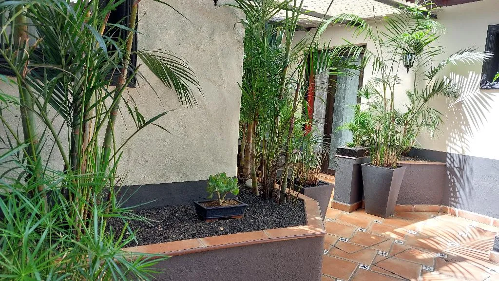 Conferences, Apartamentos Monasterio de San Antonio Only Adults, Tenerife