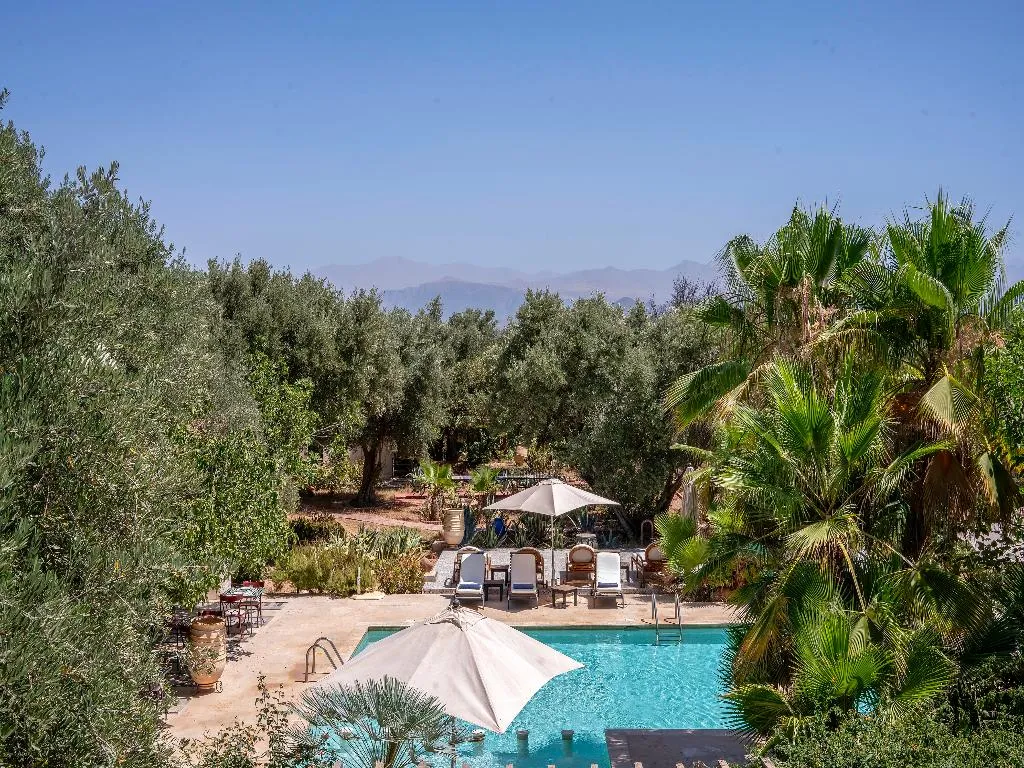 General view, Riad Cle De Sol, Marrakech