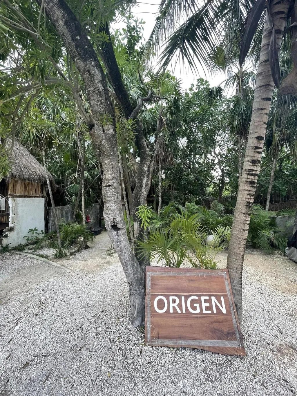 General view, Origen Tulum, Cancun Area