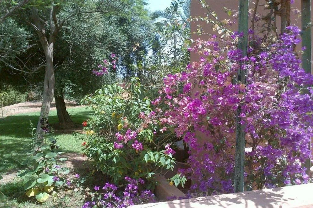 General view, In Club Palmeraie Resort, Marrakech