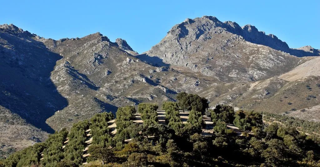 General view, Huerta de las Palomas, Costa Del Sol