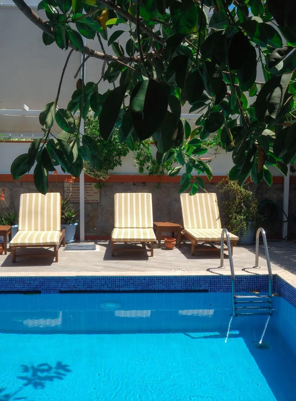 Sports and Entertainment, Oya Boutique Hotel & Suites, Bodrum