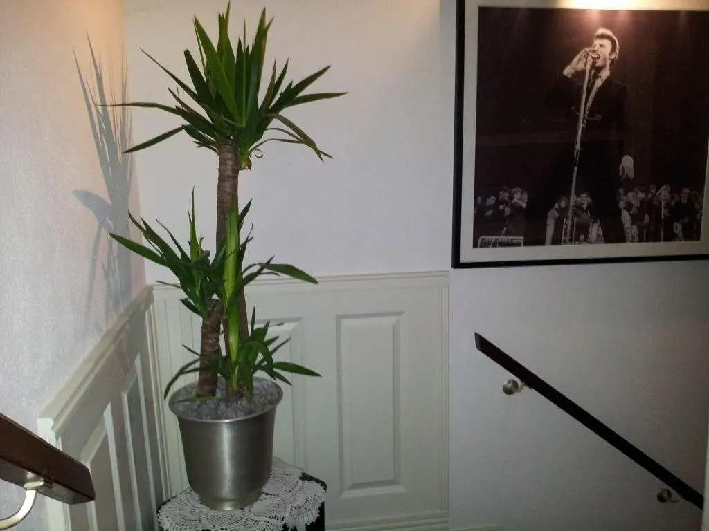 Lobby, The Concert Hotel, Amsterdam