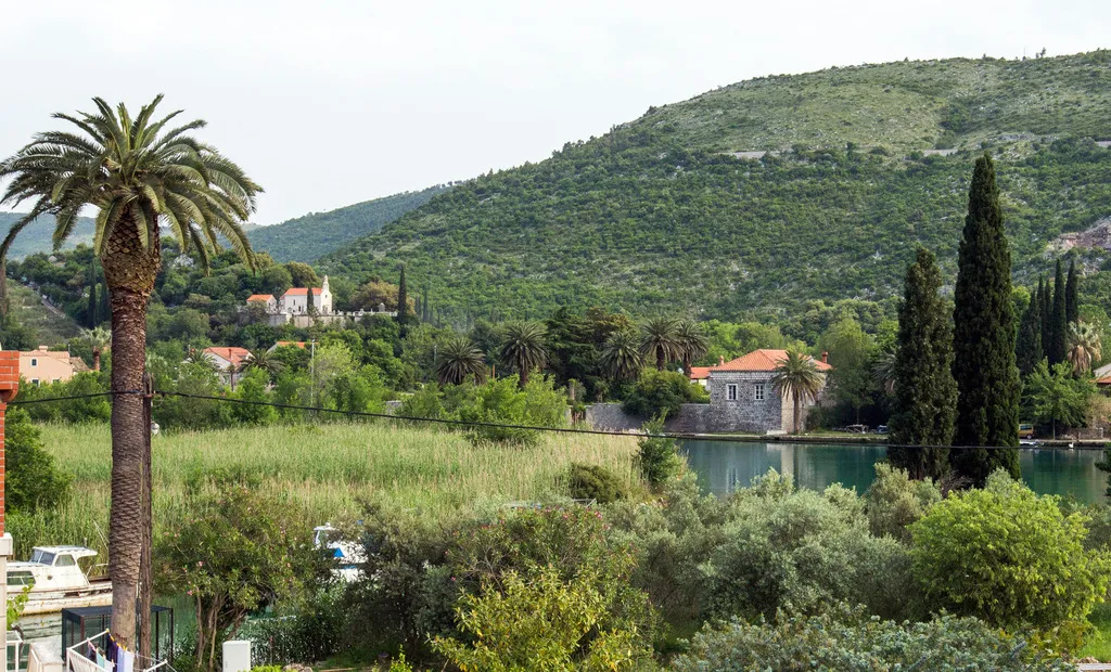 Pool, Apartments Villa Roza, Dubrovnik
