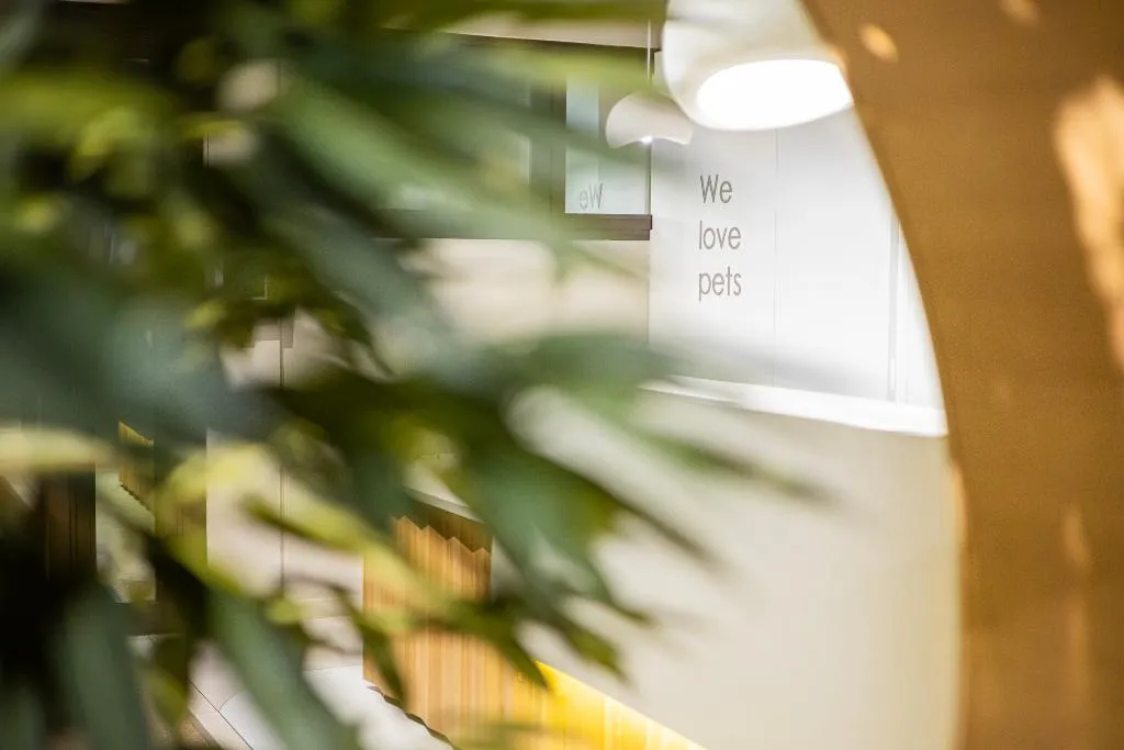 Lobby, Nou Vielha, Costa Brava