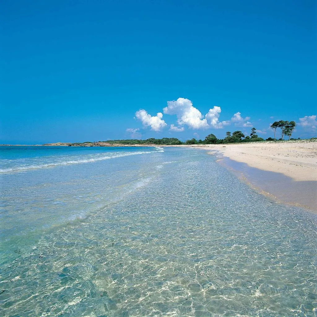 Beach, Aparthotel Isla de Cabrera, Majorca