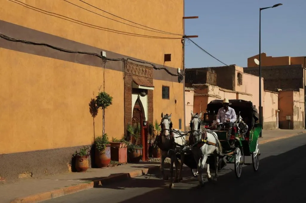 General view, New Bahia, Marrakech