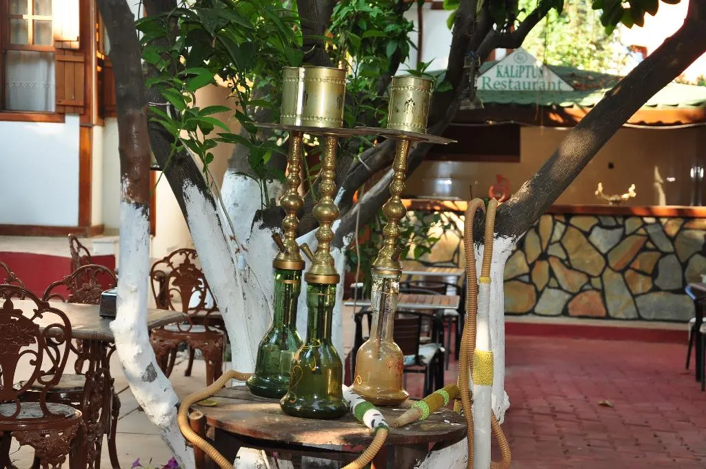 Bar, Kaliptus Hotel, Antalya