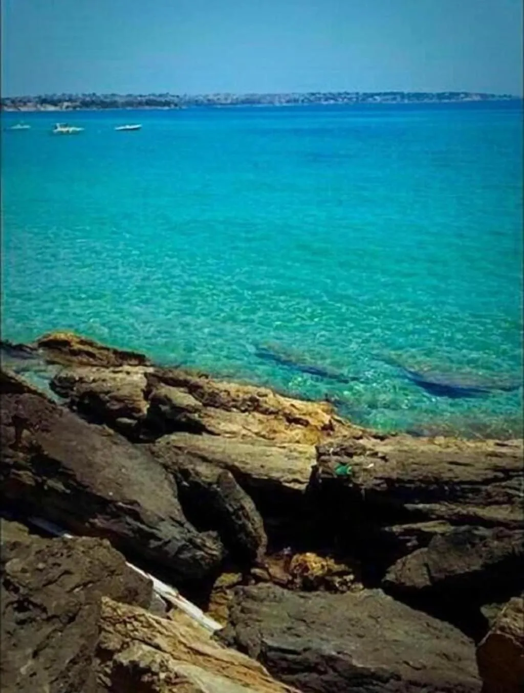 General view, Rudy Arenaile, Catania