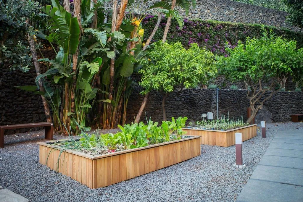 Terrace, Four Points by Sheraton Catania Hotel & Conference, Catania
