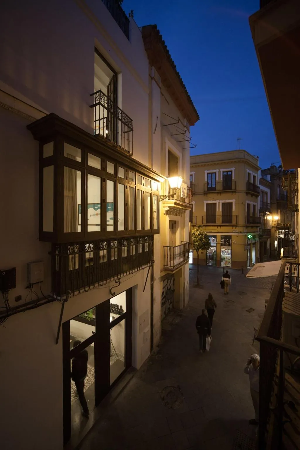 General view, Welldone Cathedral, Seville