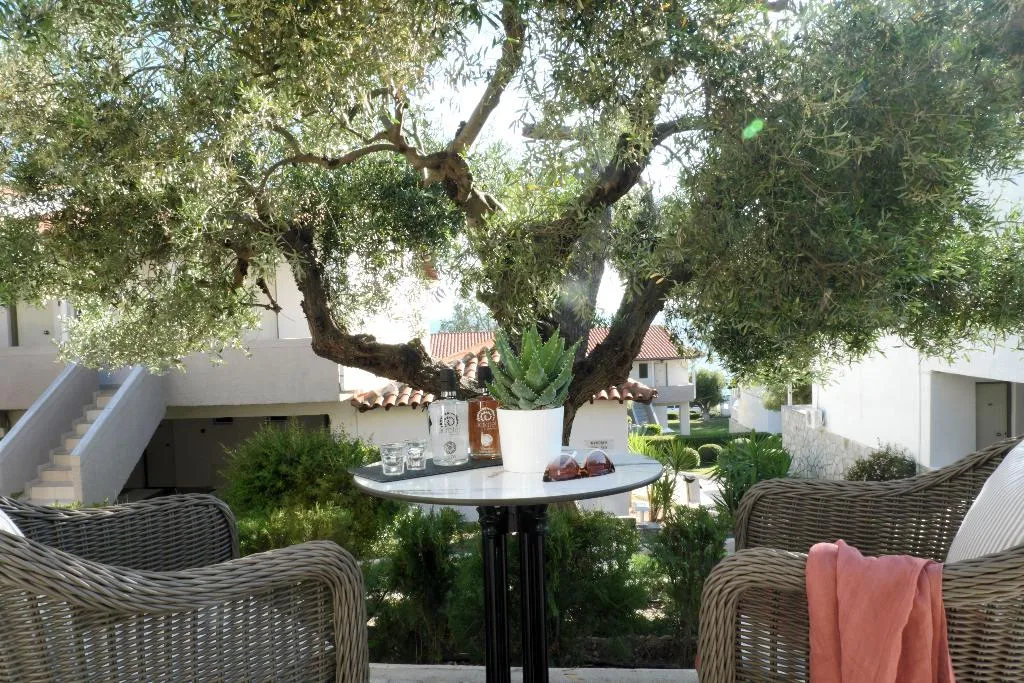 Double or Twin SUPERIOR Room, Acrotel Elea Beach, Halkidiki