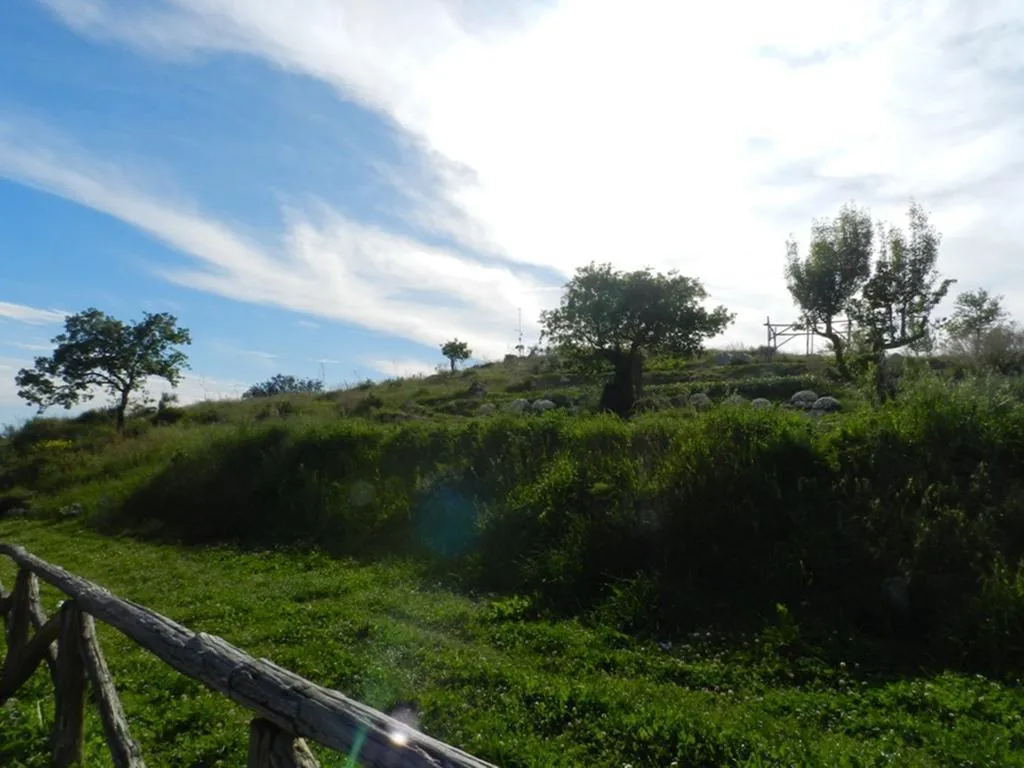 General view, Azienda Agricola Fattoria Terranov, Naples