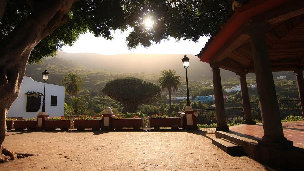 Lobby, Drago Nest Hostel, Tenerife