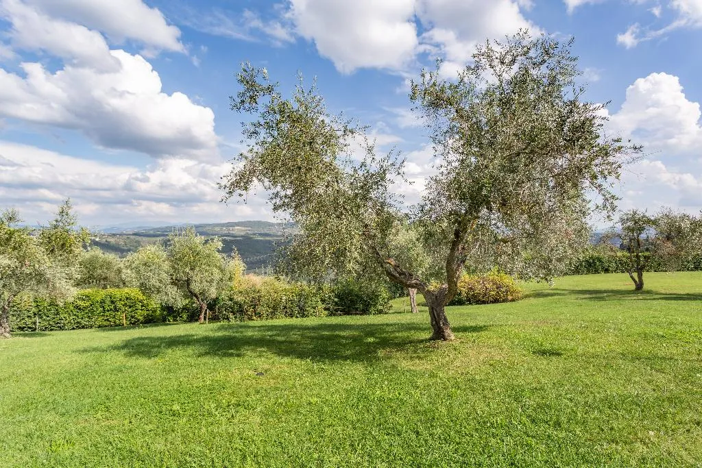 General view, Fattoria Querceto, Florence