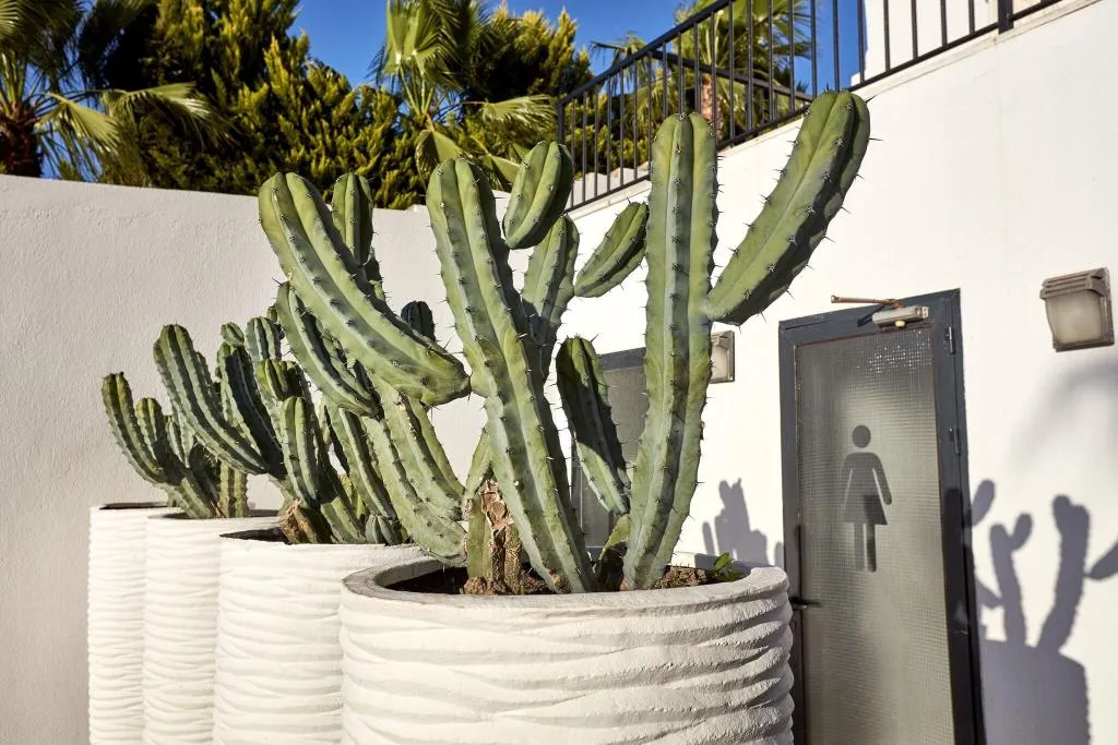 Terrace, Med-Inn Boutique Hotel, Bodrum
