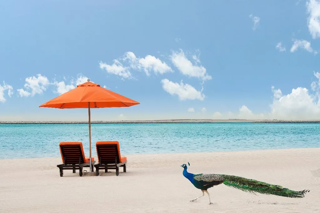 General view, JA The Resort – JA Palm Tree Court, Dubai, Dubai